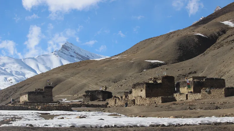 taksi_village_numa_la_backdrop